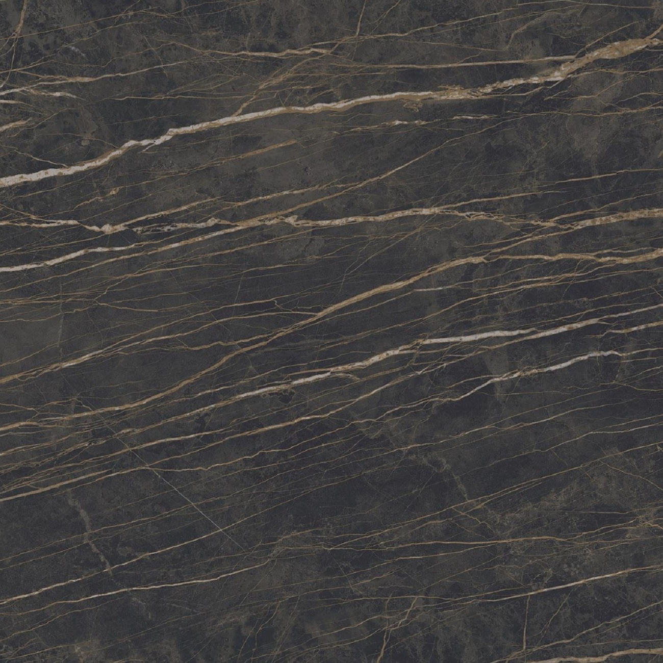 primer plano de Laminam Noir Desir
