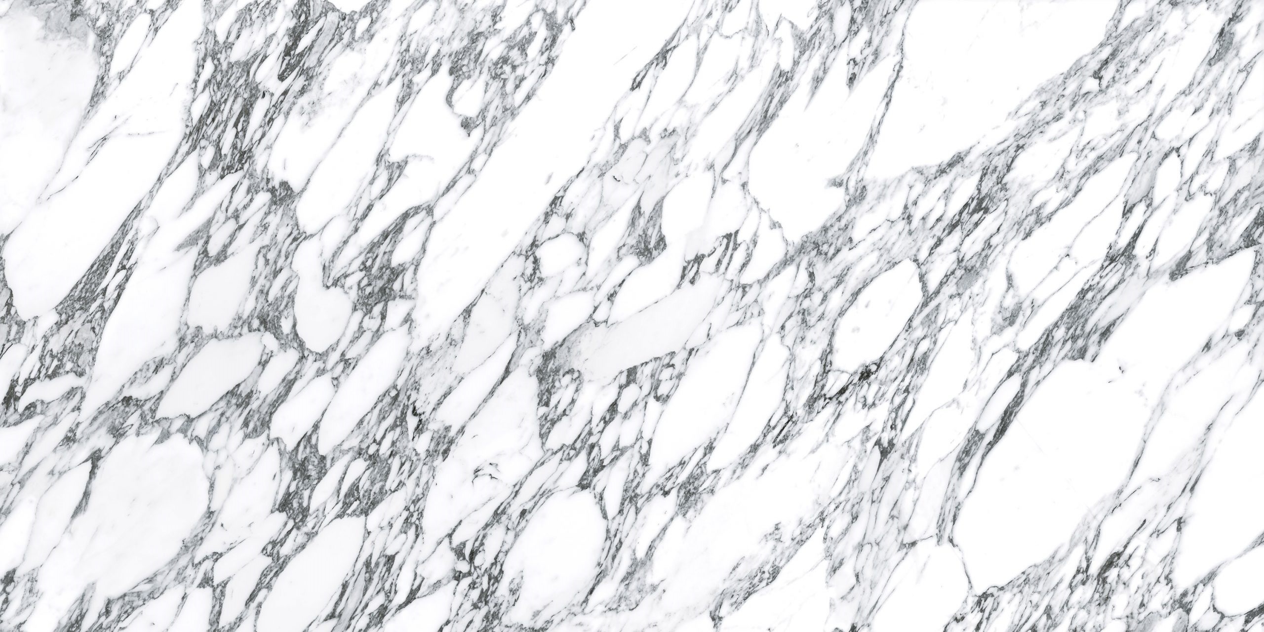 muestra Ascale Arabescato White en acabado Pulido