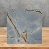 imagen de muestra Xtone Blue Roma