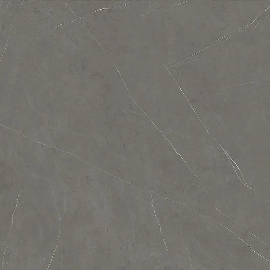 primer plano de Xtone Liem Grey