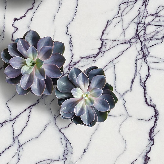 Vista cercana de superficie Arklam Lilac blanca con vetas lilas y suculentas púrpuras colocadas encima.