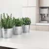 Encimera Arklam Pure Super White con plantas aromáticas en cocina blanca para Málaga.